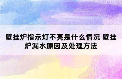 壁挂炉指示灯不亮是什么情况 壁挂炉漏水原因及处理方法